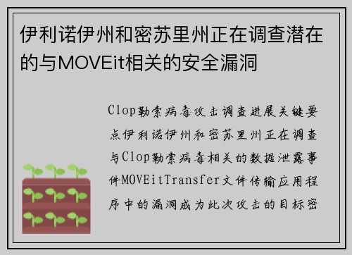 伊利诺伊州和密苏里州正在调查潜在的与MOVEit相关的安全漏洞 