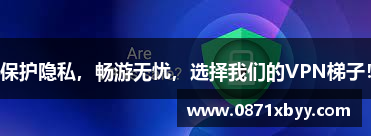 保护隐私，畅游无忧，选择我们的VPN梯子！